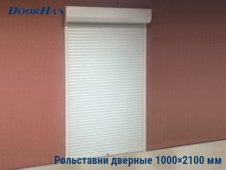 Рольставни на двери 1000×2100 мм в Тюмени от 27219 руб.