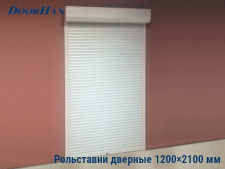 Рольставни на двери 1200×2100 мм в Тюмени от 29983 руб.